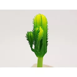 Kaktusz 12cm 6db OKOSÁR!