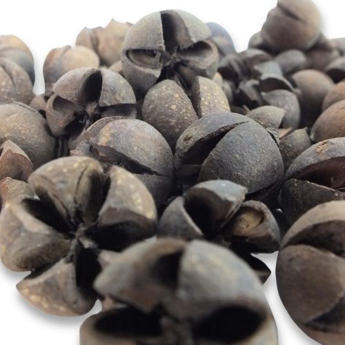 Natúr Tulipán termés 50db/csomag