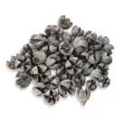 Tulipán termés 50db/csomag