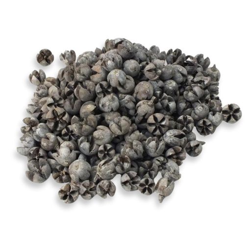 Tulipán termés 50db/csomag