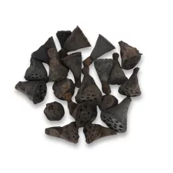  Lótusz double mini termés csomag 20db/csom