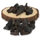  Lótusz double mini termés csomag 20db/csom