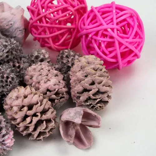 Rózsaszín vesszőgömbös terméscsomag