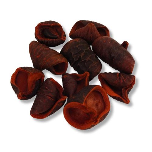 Terrakotta színű csavart termés 10db/csomag