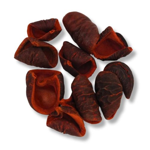 Terrakotta színű csavart termés 10db/csomag