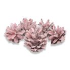 Rózsatoboz rózsaszín 5db/csomag