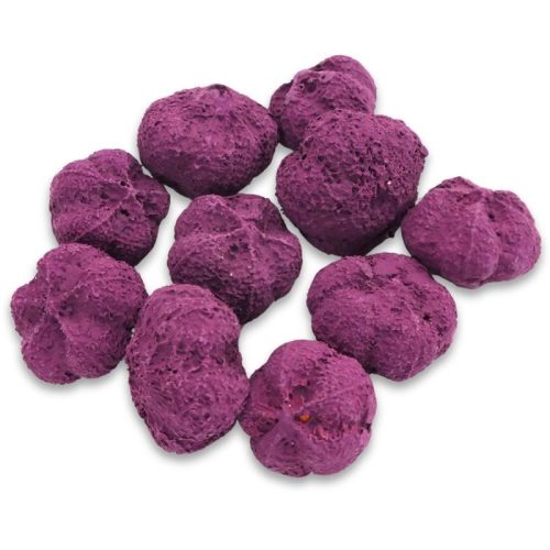 Termés fokhagyma padlizsán 10db/cs