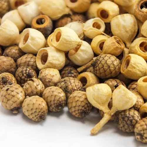 Mini terméscsomag - natural