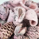 Extra terméscsomag - rózsaszín