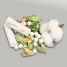 Kincsgyűjtő terméscsomag - menta