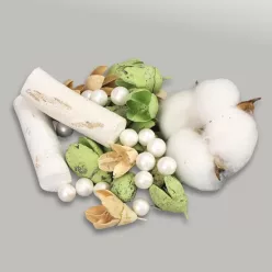 Kincsgyűjtő terméscsomag - menta