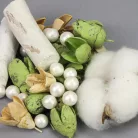 Kincsgyűjtő terméscsomag - menta