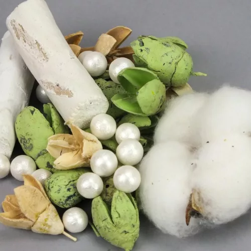 Kincsgyűjtő terméscsomag - menta