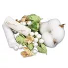 Kincsgyűjtő terméscsomag - menta