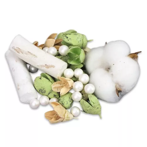 Kincsgyűjtő terméscsomag - menta