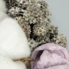 XXL hamvas lila terméscsomag