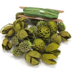 Kikelet terméscsomag raffiával - Oliva