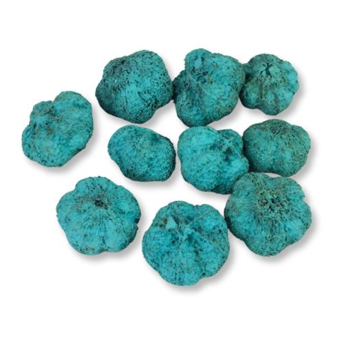 Termés fokhagyma aqua zöld 10db/cs