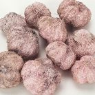 Termés fokhagyma rózsaszín 10db/cs