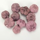 Termés fokhagyma mályva 10db/cs