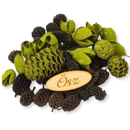 Természetjáró gyűjtemény oliva