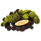 Természetjáró gyűjtemény oliva