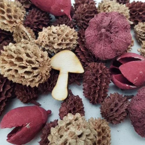 Természetjáró gyűjtemény burgundi