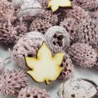 Természetjáró gyűjtemény rózsaszín