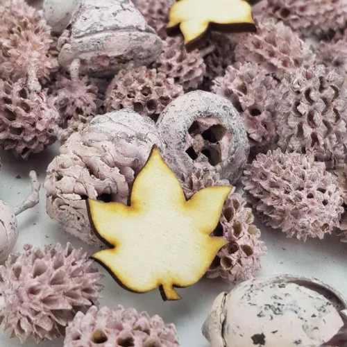 Természetjáró gyűjtemény rózsaszín