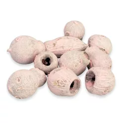 Eukalyptus Bell Gum halvány rózsaszín