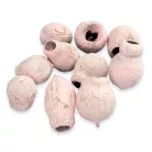 Eukalyptus Bell Gum halvány rózsaszín