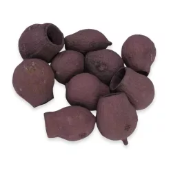 Eukalyptus Bell Gum szeder