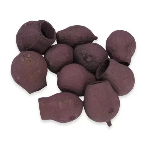 Eukalyptus Bell Gum szeder