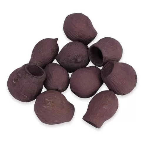 Eukalyptus Bell Gum szeder