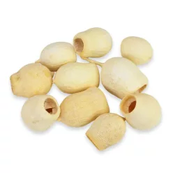 Eukalyptus Bell Gum fehérített