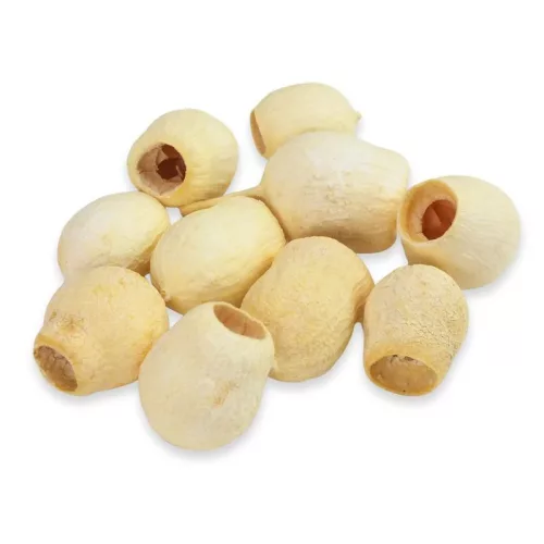 Eukalyptus Bell Gum fehérített