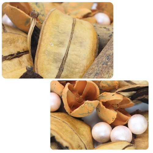 Mesevidék terméscsomag rozsdabarna