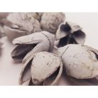 Bakuli termés világoskék 10db/csomag