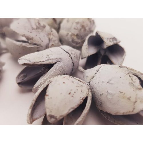 Bakuli termés világoskék 10db/csomag