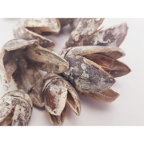 Bakuli termés hamvas 10db/csomag