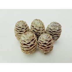 Hamvas Sabulosum toboz 5db/csomag