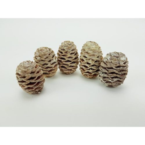 Hamvas Sabulosum toboz 5db/csomag