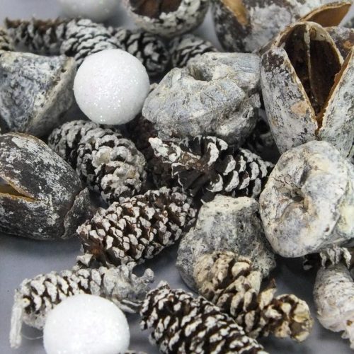 Erdészlak havas csomag