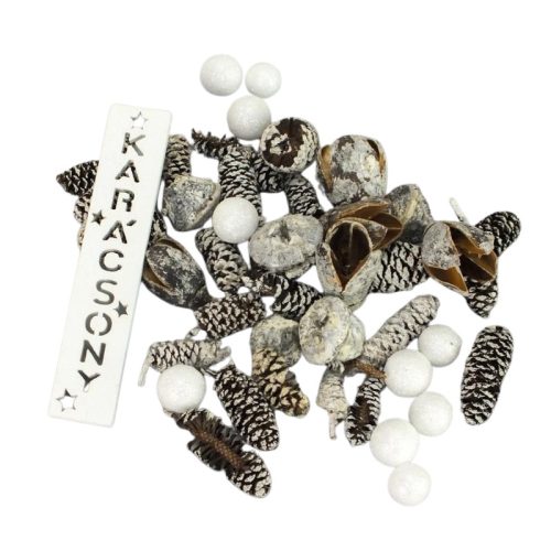 Erdészlak havas csomag