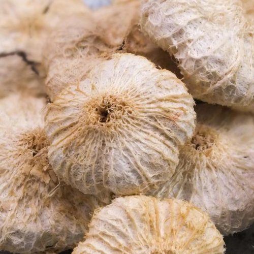 Fokhagyma alakú termés nagy 10db/csomag