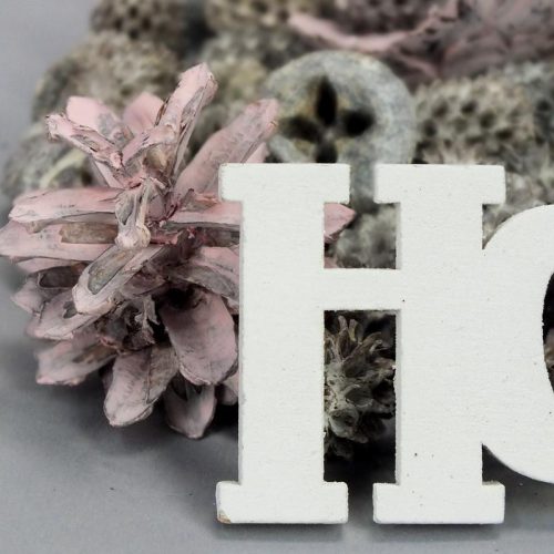 XXL karácsonyi terméscsomag HOHOHO