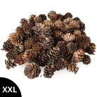 Vörösfenyő toboz natúr