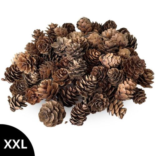 Vörösfenyő toboz natúr