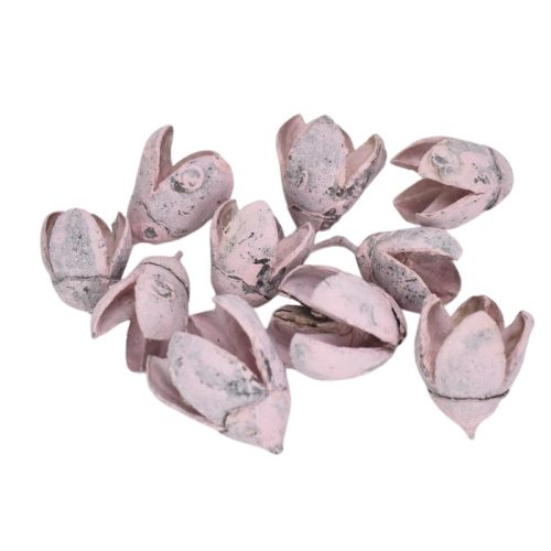 Terméscsomag bakuli rózsaszín 10db/csomag