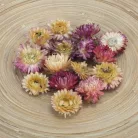 Szalma rózsa rózsaszín 15db/csomag